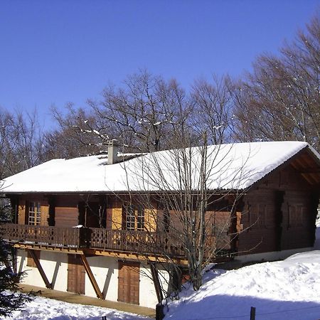 Appartement Chalet Renove 6 Pers Avec Terrasse Proche Evian, Ski Et Randonnee - Fr-1-498-29 Saint-Paul-en-Chablais Kültér fotó