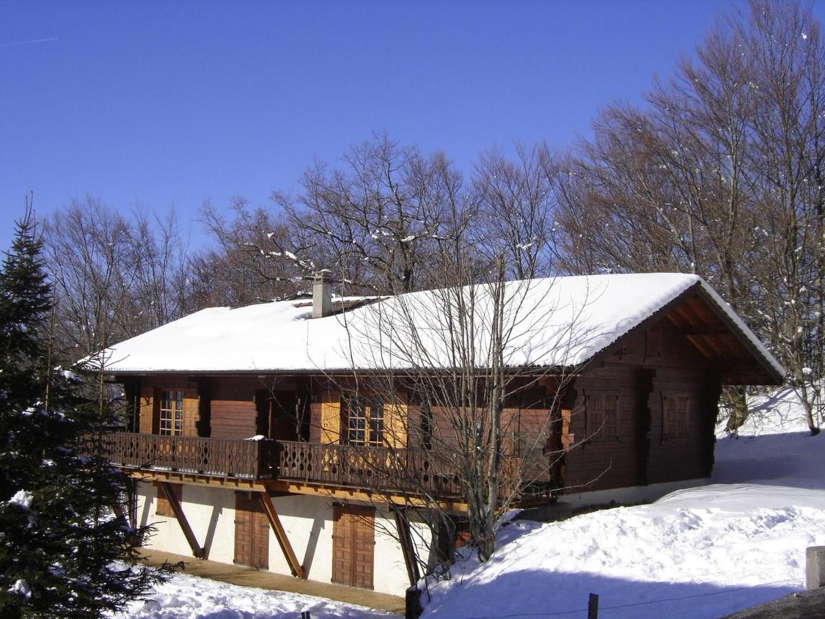Appartement Chalet Renove 6 Pers Avec Terrasse Proche Evian, Ski Et Randonnee - Fr-1-498-29 Saint-Paul-en-Chablais Kültér fotó